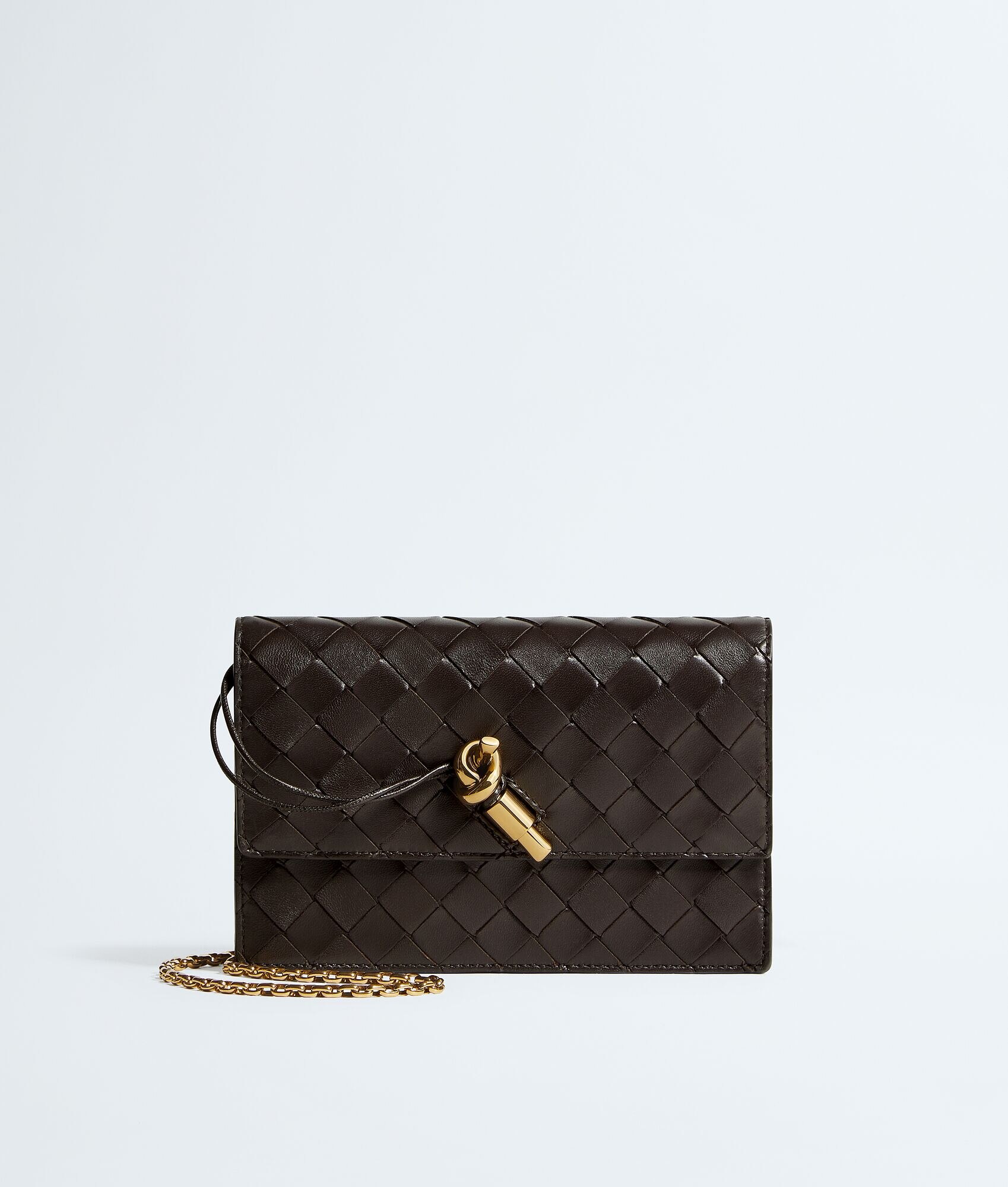 Andiamo Pouch On Chain